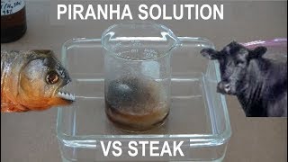 Piranha Solution Eats Stuff [upl. by Ahseet]