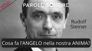 COSA FA LANGELO NELLA NOSTRA ANIMA  Rudolf Steiner  Parole Sonore [upl. by Leighland]