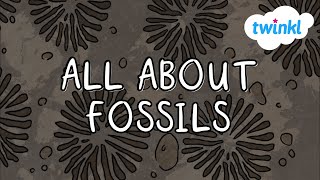 What are Fossils for Kids  Twinkl USA [upl. by Drannek]