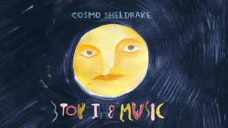 Cosmo Sheldrake  Stop The Music Official Video [upl. by Eilsel]