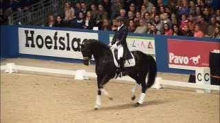 wwwreitschulesandbrinkde NETTO v NEGRO stallion dressage [upl. by Elleined]