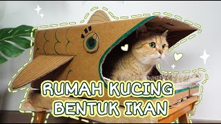 Membuat DIY Rumah Kucing Bentuk Ikan dari Kardus  Cia Cat Diary [upl. by Enom]