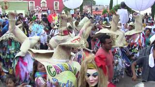 LOS TILICHES EN NOCHIXTLAN OAXACA [upl. by Shuping]