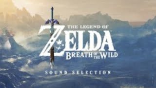 Hateno Village Night  The Legend of Zelda Breath of the Wild OST [upl. by Emina]