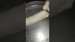 Fata hua dudh ke sauce wali rasgulla [upl. by Twedy704]