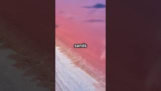 This Beach Has Pink Sand – Can You Guess Where BeachLovers PinkSandsBeach BahamasBeauty [upl. by Yuhas]