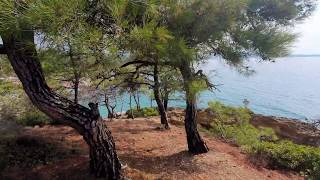 Best in Greece Forest view from Tripiti beach Thassos [upl. by Aggi]