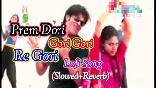 Prem Dori Gori Gori Re Gori slowedReverb Bangoli Lofi Song no copyright video [upl. by Sanderson393]