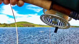 Catching Brown Trout Nymphing on a Lake  Newlyn Reservoir Victoria [upl. by Zetrac]