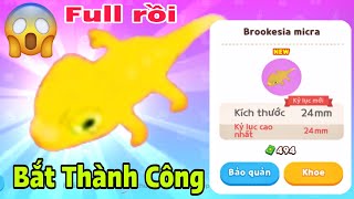 Play Together BẮT BỌ HIẾM THẰN LẰN Brookesia micra THÀNH CÔNG [upl. by Flagler]