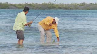 FLY FISHING for Bonefish in Cuba [upl. by Darya]