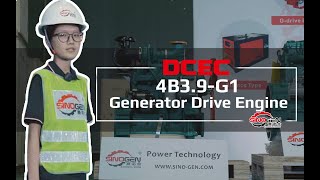 DCEC Cummins 4B39G1 Generator Drive Engine Introduction 2022 Scopes of supply and Optional [upl. by Lazaro]