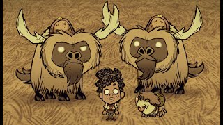 Taming 2 Beefalo at the Same Time [upl. by Narhet]