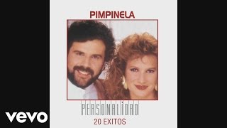 Pimpinela  Esa Chica y Yo Cover Audio [upl. by Wadesworth]