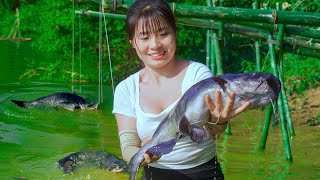 How this girl catches hundreds of fish in the largest lake in southeast asia [upl. by Umeh]