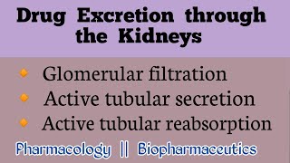 Drug clearance by the kidney  Drug Excretion part1 [upl. by Inafetse]