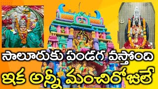 శ్యామలాంబ పండగకు తేదీలు ఖరారు  SALUR  SYAMALAMBA  FESTIVAL 8newstelugu [upl. by Raybin]