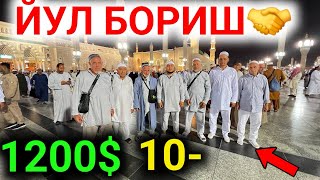 13ноября Saudiya Arabistoniga sayohat  2024 14 kunlik ziyorat [upl. by Cavallaro]