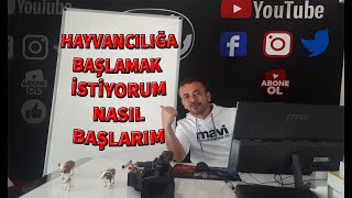 HAYVANCILIK YAPMAK İSTİYORUM  NEREDEN BAŞLAYACAĞIMI BİLMİYORUM [upl. by Nicolette77]