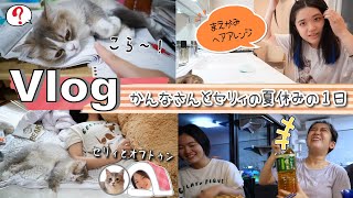 ★Vlog★かんなさん、セリィにネコハラされていた夏休みの1日ｗ [upl. by Elraet]