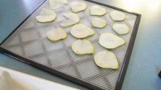 Dehydrated Pears Dried Pear Chips Dehydrating fruits wstephanie  efooddehydratorcom [upl. by Ricoriki]