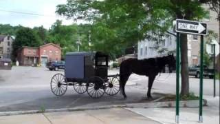 Little Falls NY Quaker Horse and Buggy [upl. by Anicart]