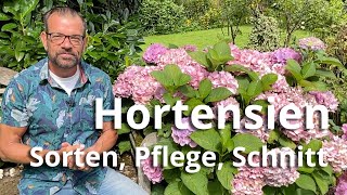 Hortensien  Sorten Pflege und Schnitt [upl. by Atlee]