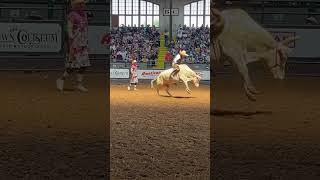 Mexican bull riding at the Mexico de la Sangre event at The Cowtown Coliseum bullriding rodeo [upl. by Aras]