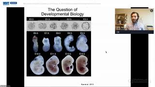 Reconstructing Wnt Signalling A Pathway at the Interface between Development and Cancer [upl. by Javier1]