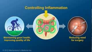 Chronic Inflammation in IBD and How AntiTNF Therapy Works [upl. by Jacob786]