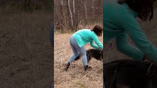 Evelina went on a hike in the forest camping [upl. by Aimek]