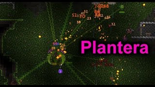 Terraria  Plantera Boss [upl. by Irot]