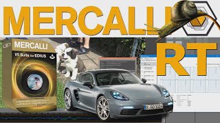 Mercalli V5 EDIUS Suite mit Mercalli RT 🚀 deutsch [upl. by Anihs]