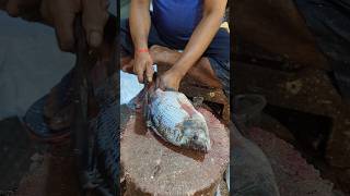 Testy Big Tilapia Fish Cutting Skills Live In Fish Market  shorts tilapia [upl. by Nnylhsa]