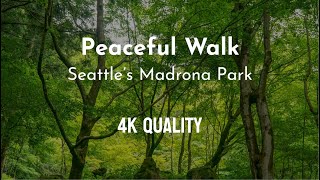 Peaceful Walk in Seattles Madrona Park 4K Quality [upl. by Tamarah280]