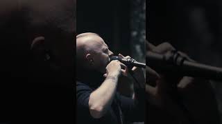 Wardruna  European Tour Recap 2024 [upl. by Kaufmann]