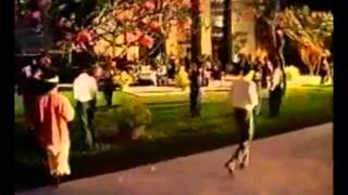 RCTI Idents 19932011 [upl. by Gerstein280]