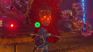 How to One Shot Kill Ganon  Zelda BOTW [upl. by Nolyar80]