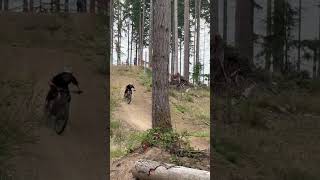 My first ever pro line at port gamble trending viralvideo foryou fyp mtb mtbpro dirtjumpmtb [upl. by Dylane975]