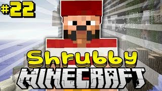 Ein FREMDER BENÖTIGT meine HILFE  Minecraft Shrubby 22 DeutschHD [upl. by Euphemie328]