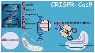 CRISPR Rewriting the Code of Life [upl. by Eveam]