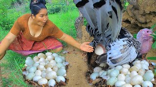 survival in the rainforest  Found Turkey Bird egg in forest  Roast Turkey Eating delicious HD [upl. by Curren]