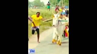 😈karuppu durai😈🔥rekla race whatsapp status 🔥 [upl. by Lemhar]