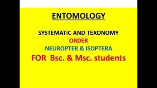 Order Neuroptera and Isoptera [upl. by Corkhill]