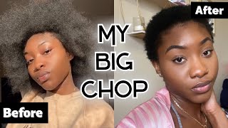 THE BIG CHOP ON 4C HAIR 2021  Restarting My Natural Hair Journey [upl. by Niawd]