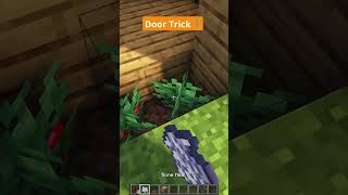 New minecraft door hacktrending [upl. by Tomaso]