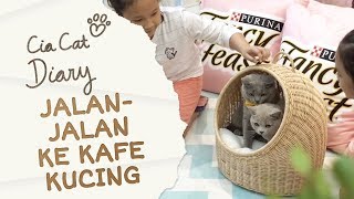 Jalanjalan ke Cafe Kucing  Cia Cat Diary  Ep 27 [upl. by Bernadette]