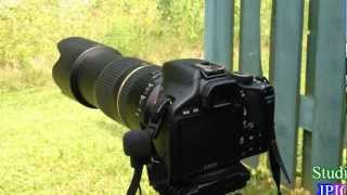 Tamron SP 70300mm Di f456 VC USD  AFVC noise and AF speed test [upl. by Dnomar]