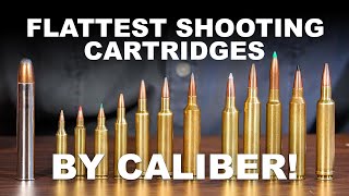 Flattest Shooting Cartridges by Caliber [upl. by Seni]