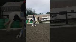 Old video 65cm cross pole  crospole jumping equestrian horseriding horse horseriding jump [upl. by Lelia]